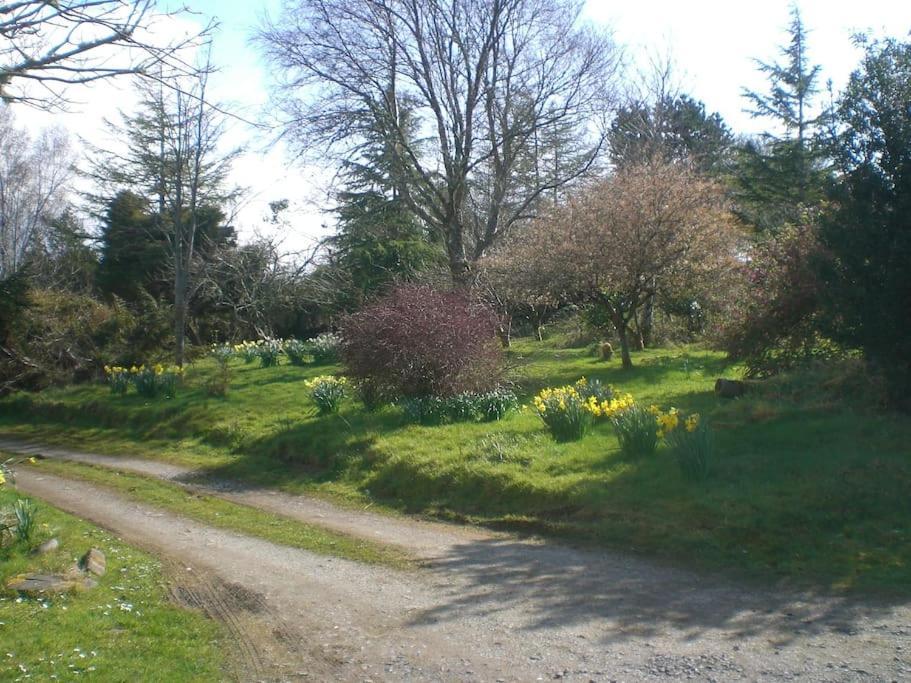 Innisfreedom Cabin Sligo Bagian luar foto