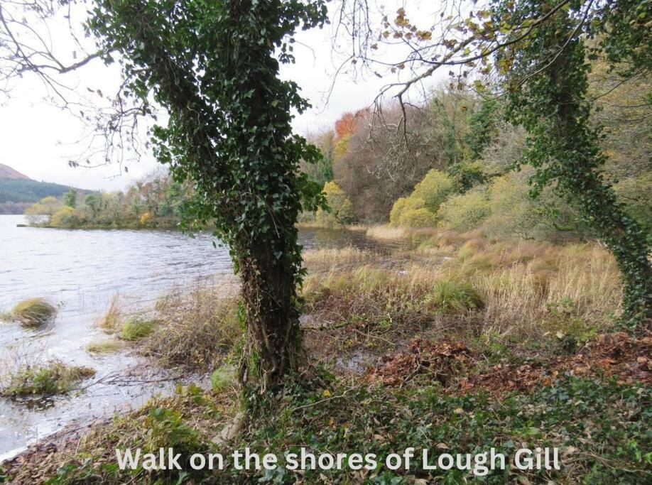 Innisfreedom Cabin Sligo Bagian luar foto